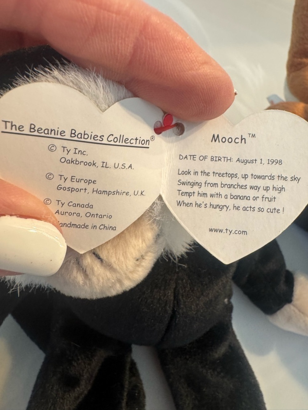 Ty Plush Bundle - Picture 11 of 15